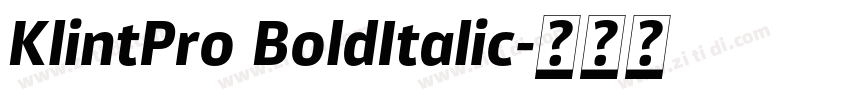 KlintPro BoldItalic字体转换